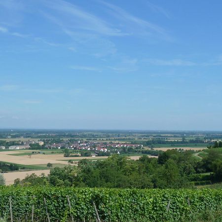 Schwarzwaldturmzimmer Lahr 外观 照片